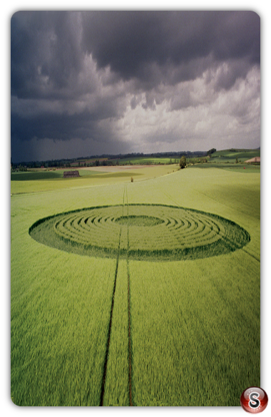 Crop circles - Beckhampton Wiltshire 1995