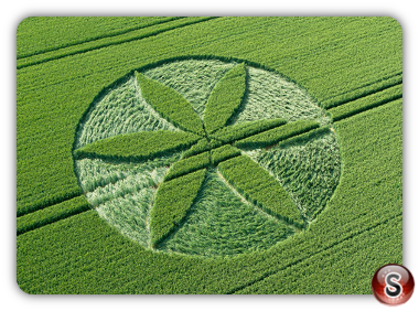 Crop circles - Yatesbury Wiltshire UK 2013