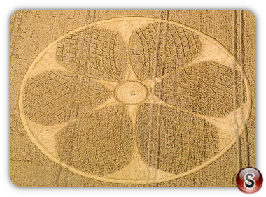 Crop circles - Westbury Wiltshire 2016