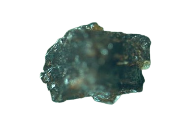 Un impianto alieno visto attraverso un microscopio