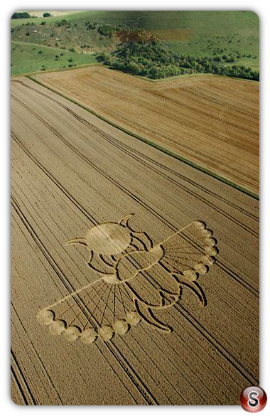 Crop circles - East Field Alton Barnes Wiltshire 2005