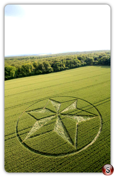 Crop circles - Black Wood Near Popham Airfield Hampshire 2014