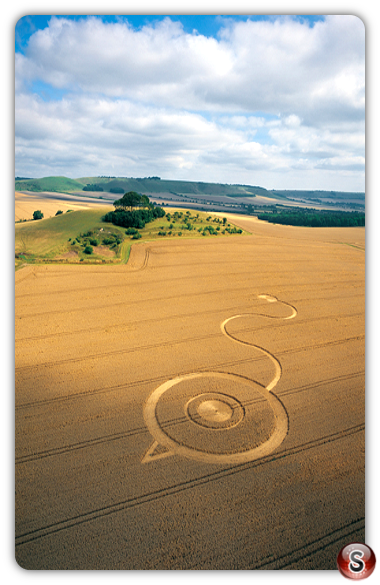 Crop circles - Woodborough Hill Wiltshire 2003