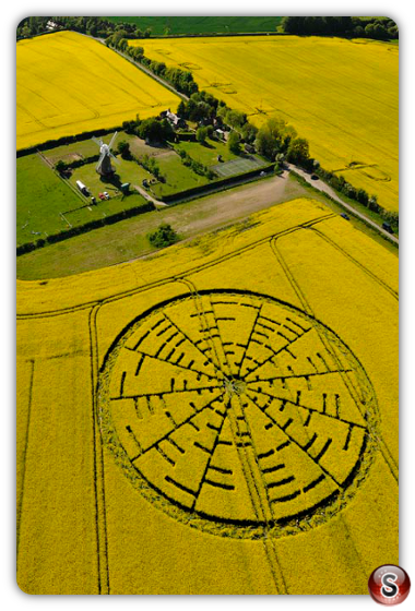 Crop circles - Wilton Windmill 2010