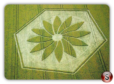 Crop circles - Yatesbury Wiltshire 2012