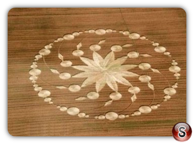 Crop circles - Castina Martina Italia 2009