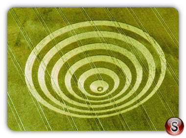 Crop circles - Cissbury Rings West Sussex 1995