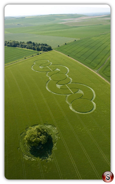 Crop circles - Beckhampton Wiltshire 2005