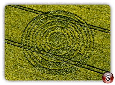 Crop circles - Ridgeway Wiltshire 2004
