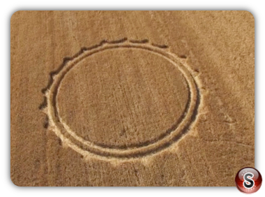 Crop circles - Cisterna Lazio Italy 2013