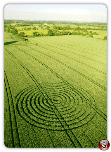 Crop circles - Sherston Wiltshire UK 2015