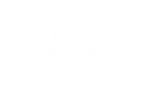 MEDUSA MEDIASET GROUP