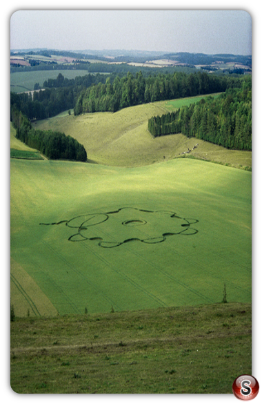 Crop circles - Punch Bowl Hampshire 1995