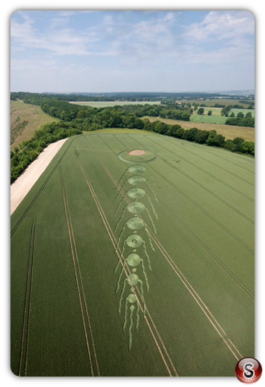 Crop circles - Martinsell Hill Wiltshire 2009