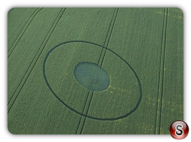 Crop circles - Avebury Wiltshire 2017