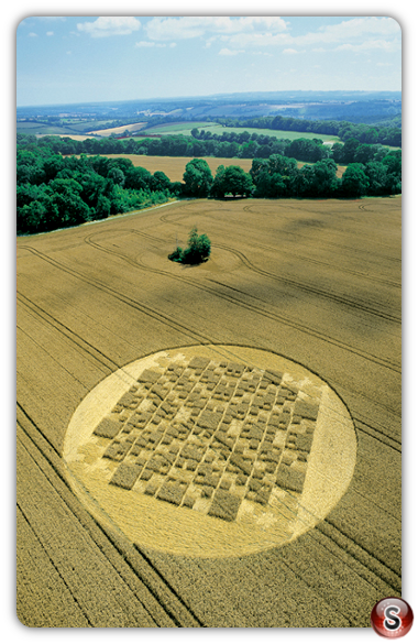 Crop circles - Forest Hill Aldbourne Wiltshire 2004