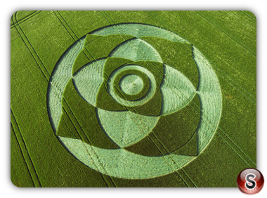 Crop circles - Wexcombe Down Wiltshire 2007