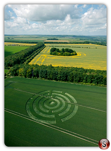 Crop circles - Waylands Smithy Oxfordshire 2009