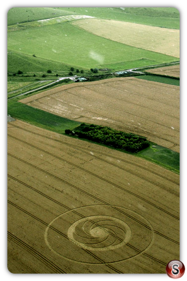 Crop circles - Milk Hill Wiltshire UK 2012