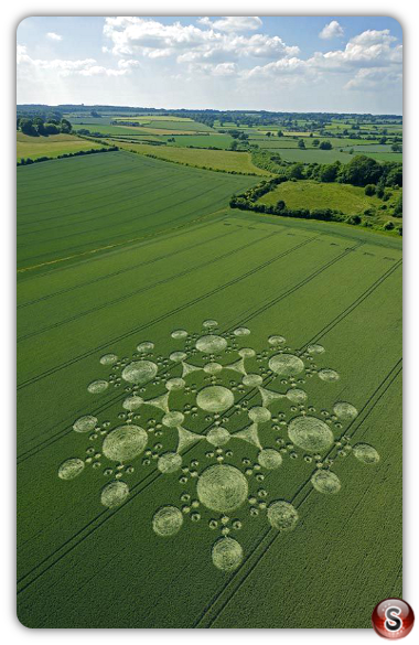 Crop circles - White Sheet Hill Nr Mere Wiltshire 2010