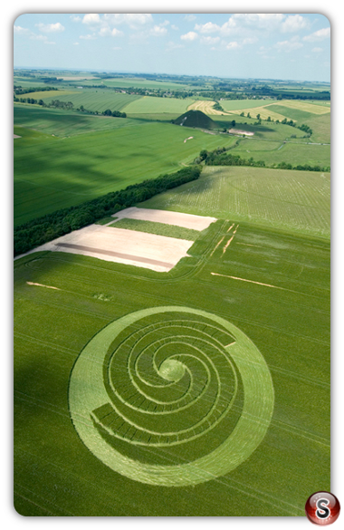 Crop circles - West Kennett Long Barrow Wiltshire 2008