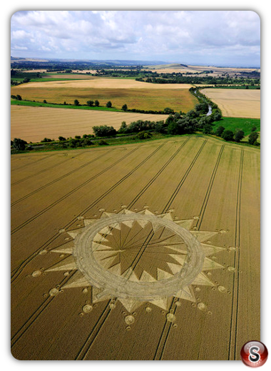 Crop circles - Cannings Cross Farm Allington Wiltshire 2009