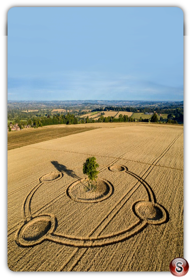 Crop circles - Potterne Wiltshire 2020 