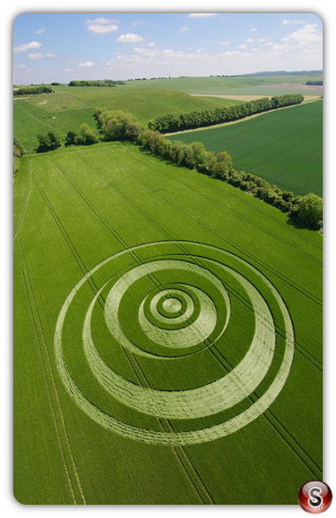 Crop circles - Winterbourne Monkton Wiltshire 2007