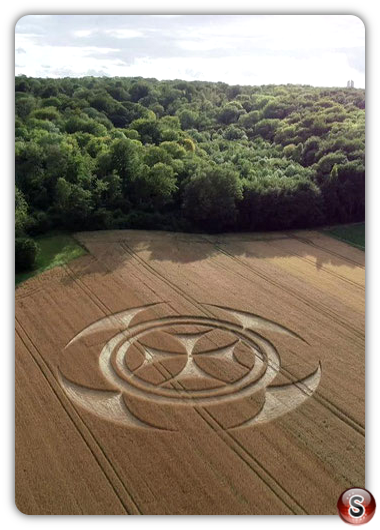 Crop circles - Vimy Pas de Calais 2020