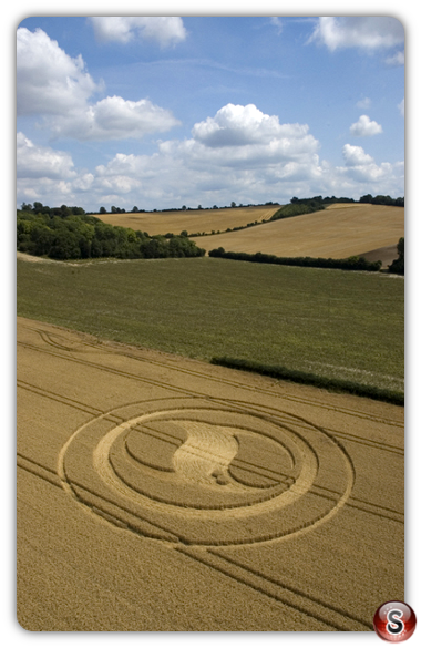 Crop circles - West Meon Hampshire 2004