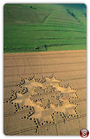 Crop circles - Milk Hill Wiltshire 1997