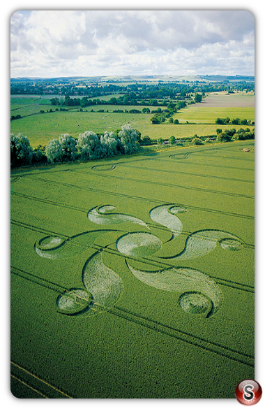 Crop circles - Honey St. Alton Barnes Wiltshire 2004