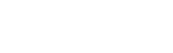 The mothman prophecies