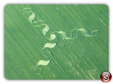 Crop circles - Germany 2012