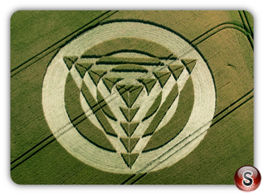 Crop circles - Tetbury Lane Nr Charlton Wiltshire UK 2014