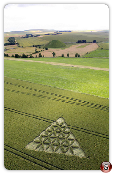 Crop circles - Waden Hill nr Avebury Wiltshire 2012