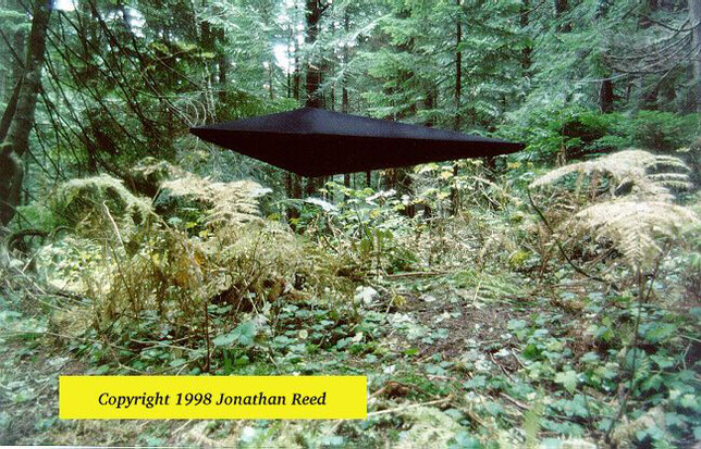 Foto dell'oggetto non identificato (UFO) fatta dal Dr. Jonathan Reed