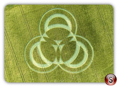 Crop circles - Long Wood Hampshire 2019