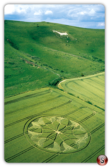 Crop circles - Milk Hill Wiltshire 2000