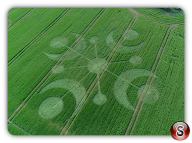 Crop circles - Buckland Down Dorset 2018