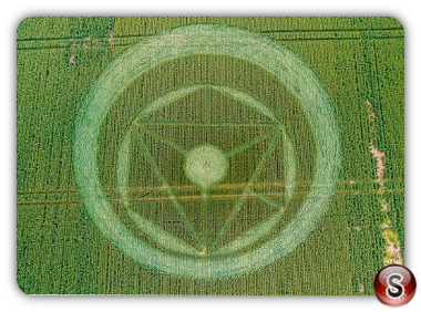 Crop circles - Southen on Sea 2014 Essex 2014