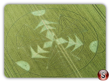 Crop circles - Hacken Hill Wiltshire 2016