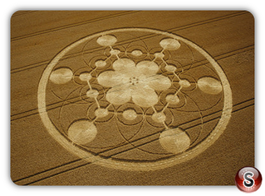 Crop circles - Chisbury Wiltshire 2003