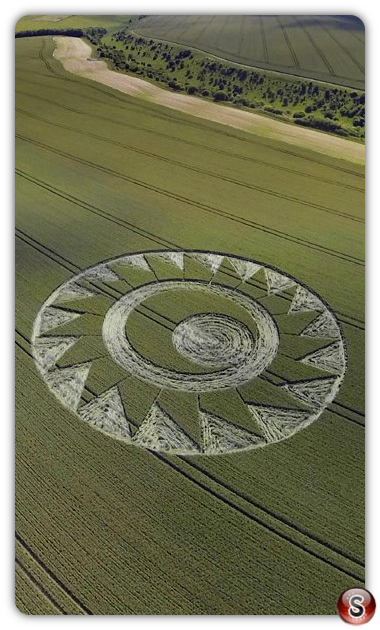 Crop circles - Cheesefoot Head Hampshire 2017