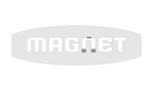Magnet