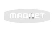 Magnet releasing