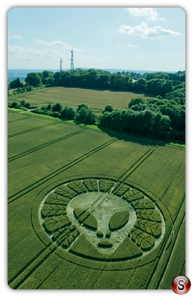 Crop circles - Reigate Surrey 2016
