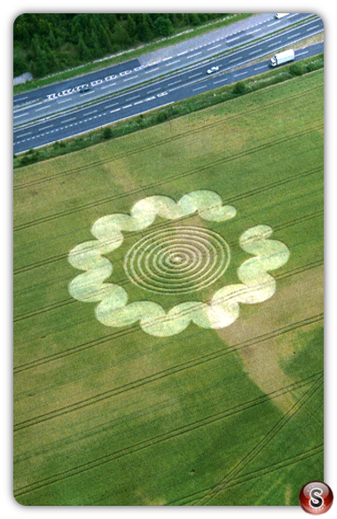 Crop circles - Litchfield Hampshire 1995