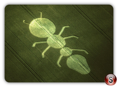 Crop circles - Henwood Hampshire 1997