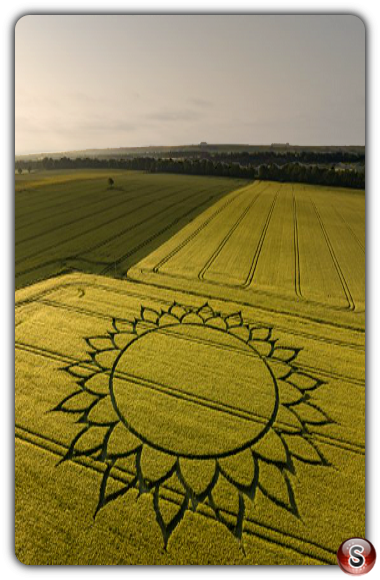 Crop circles - Potterne Hill - Wiltshire 2023